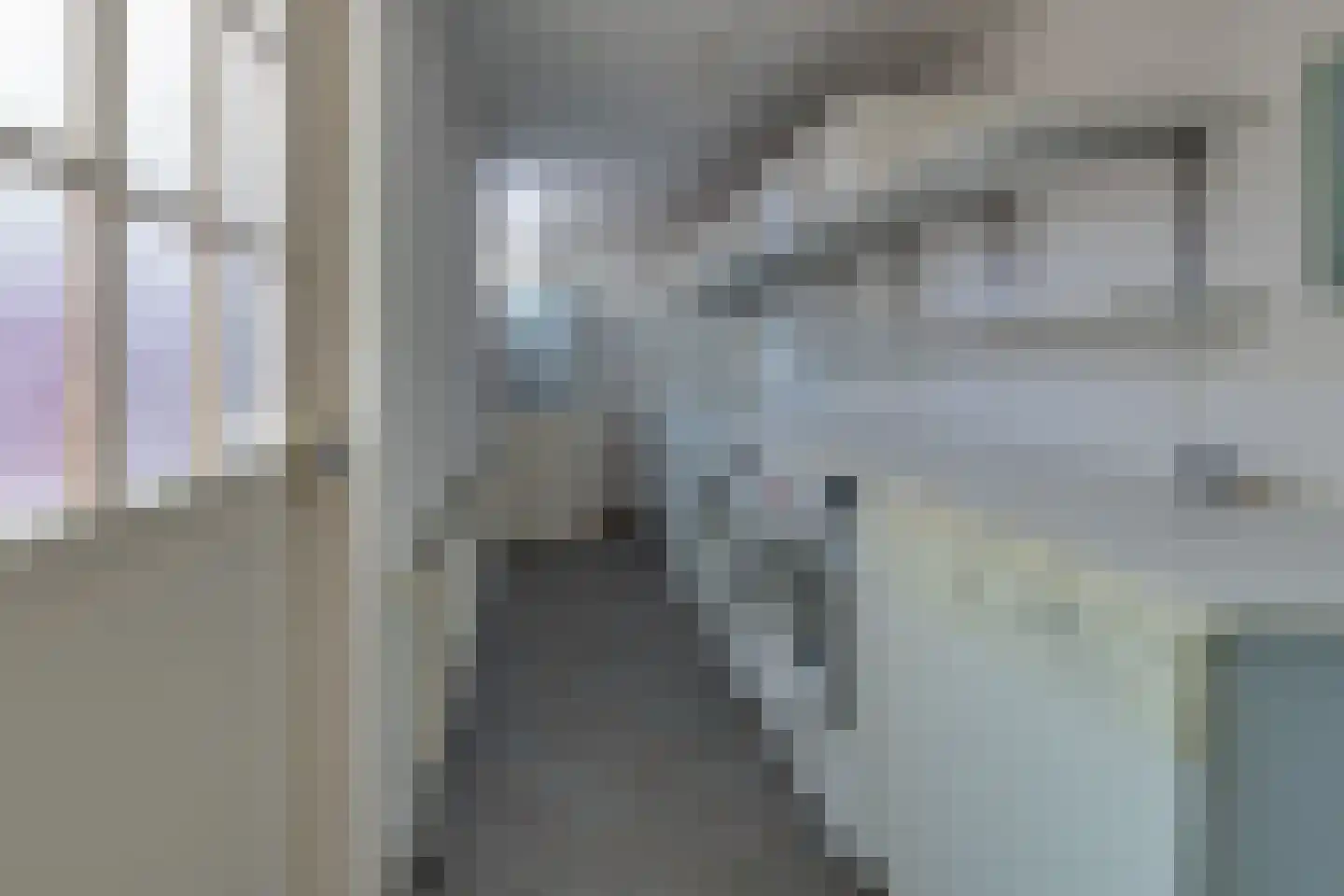 Biesboschlaan 8 Stadskanaal thumbnail 14