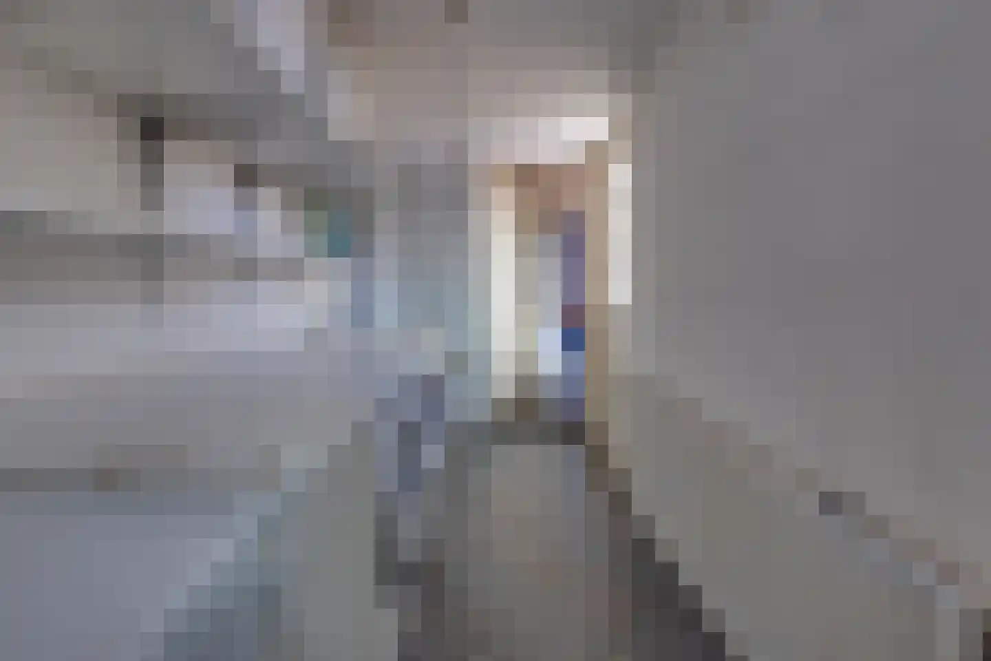 Biesboschlaan 8 Stadskanaal thumbnail 15