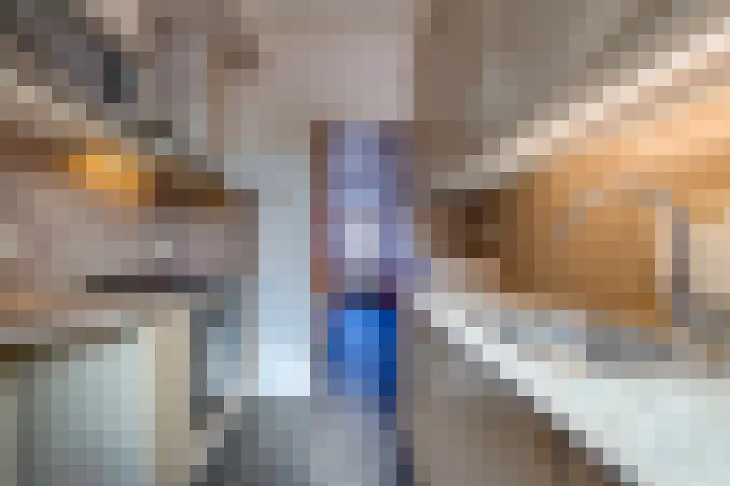 Biesboschlaan 8 Stadskanaal thumbnail 16