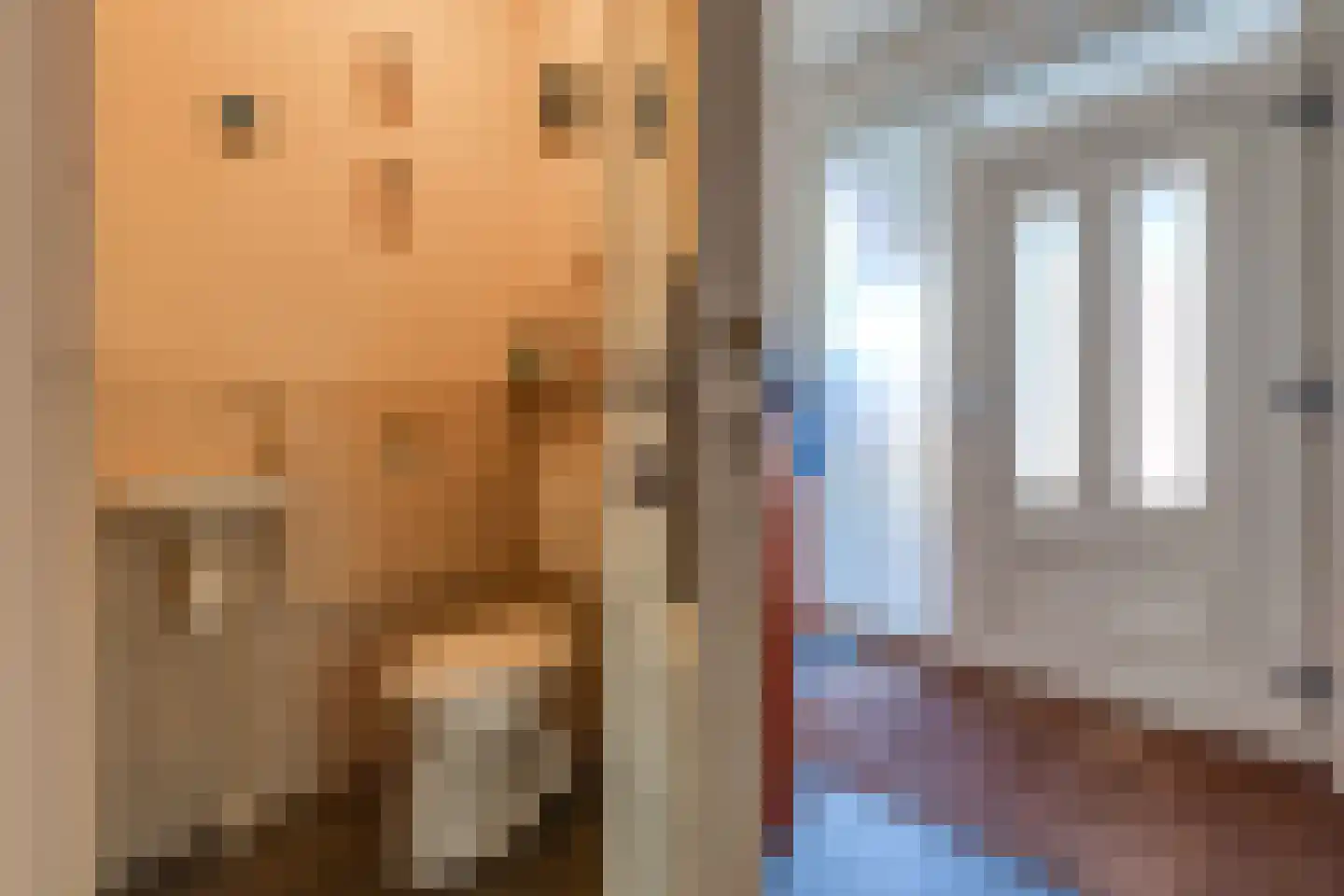 Biesboschlaan 8 Stadskanaal thumbnail 18