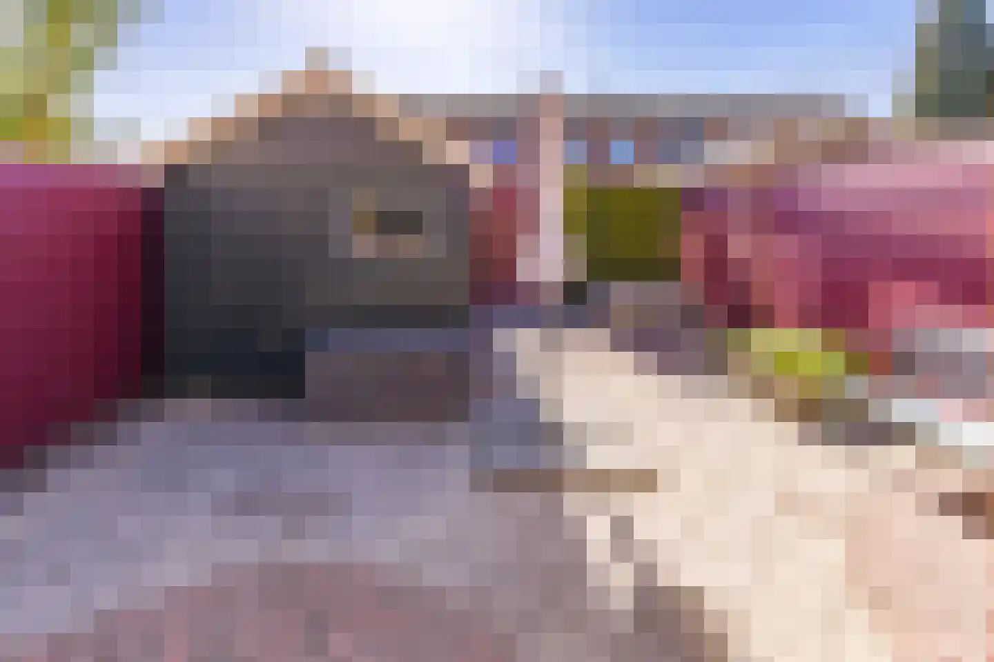 Biesboschlaan 8 Stadskanaal thumbnail 33