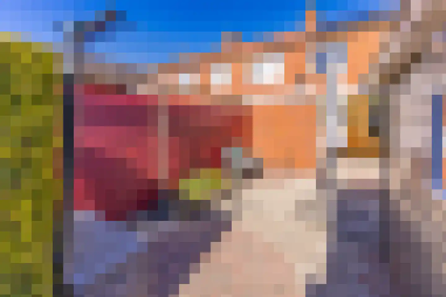 Biesboschlaan 8 Stadskanaal thumbnail 35