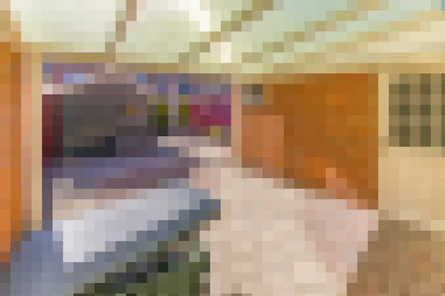 Biesboschlaan 8 Stadskanaal thumbnail 4