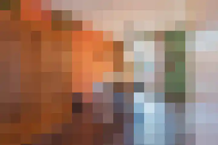 Biesboschlaan 84 Hank thumbnail 5
