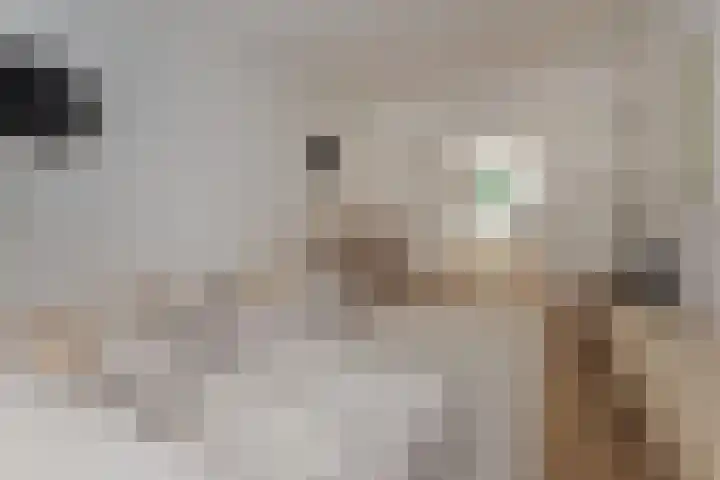 Biesboschstraat 11 1 Amsterdam thumbnail 7