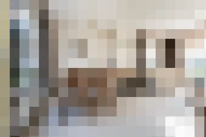 Biesboschstraat 16 Nieuwendijk thumbnail 15