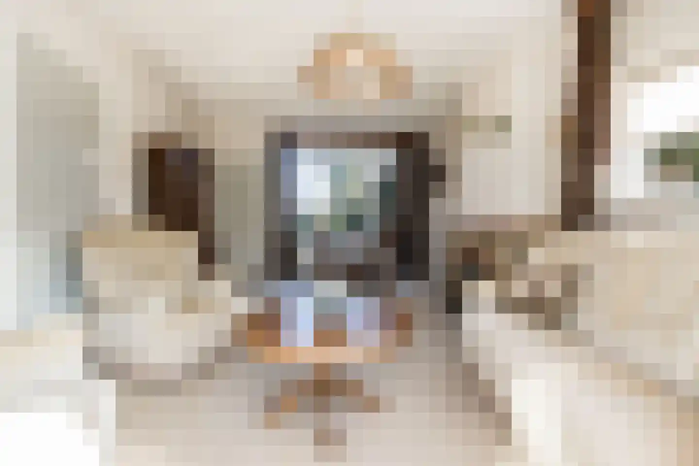Biesboschstraat 16 Nieuwendijk thumbnail 17