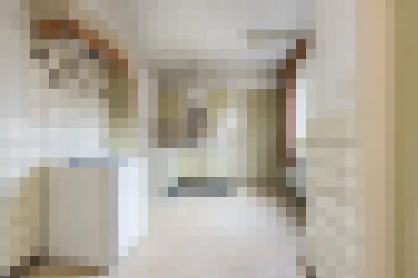 Biesboschstraat 16 Nieuwendijk thumbnail 19