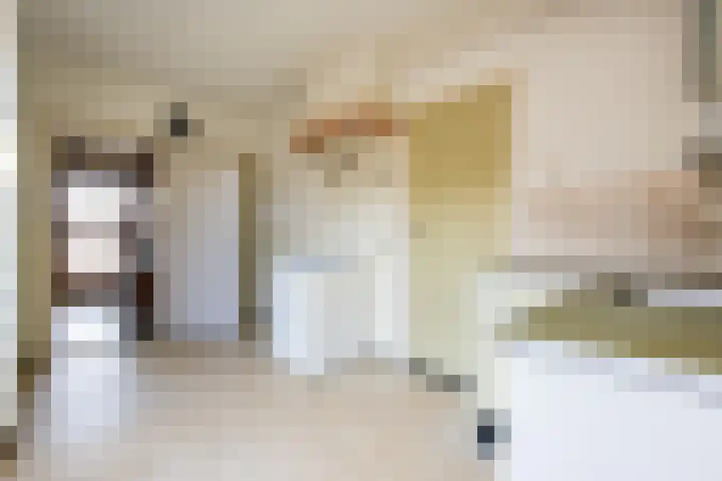 Biesboschstraat 16 Nieuwendijk thumbnail 21
