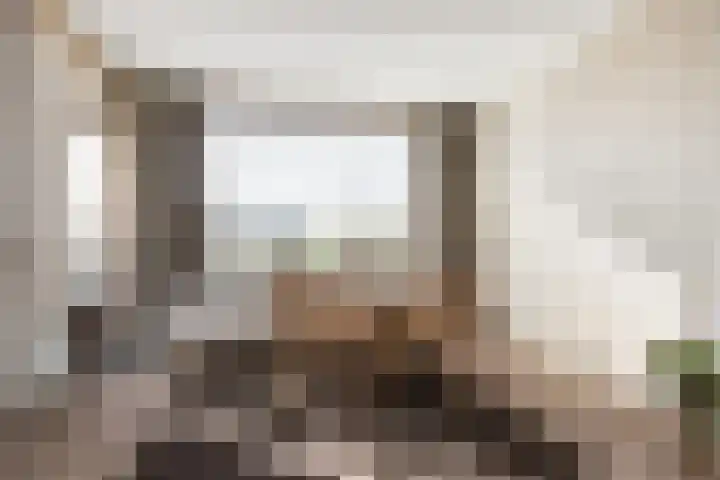 Biesboschstraat 16 Nieuwendijk thumbnail 24