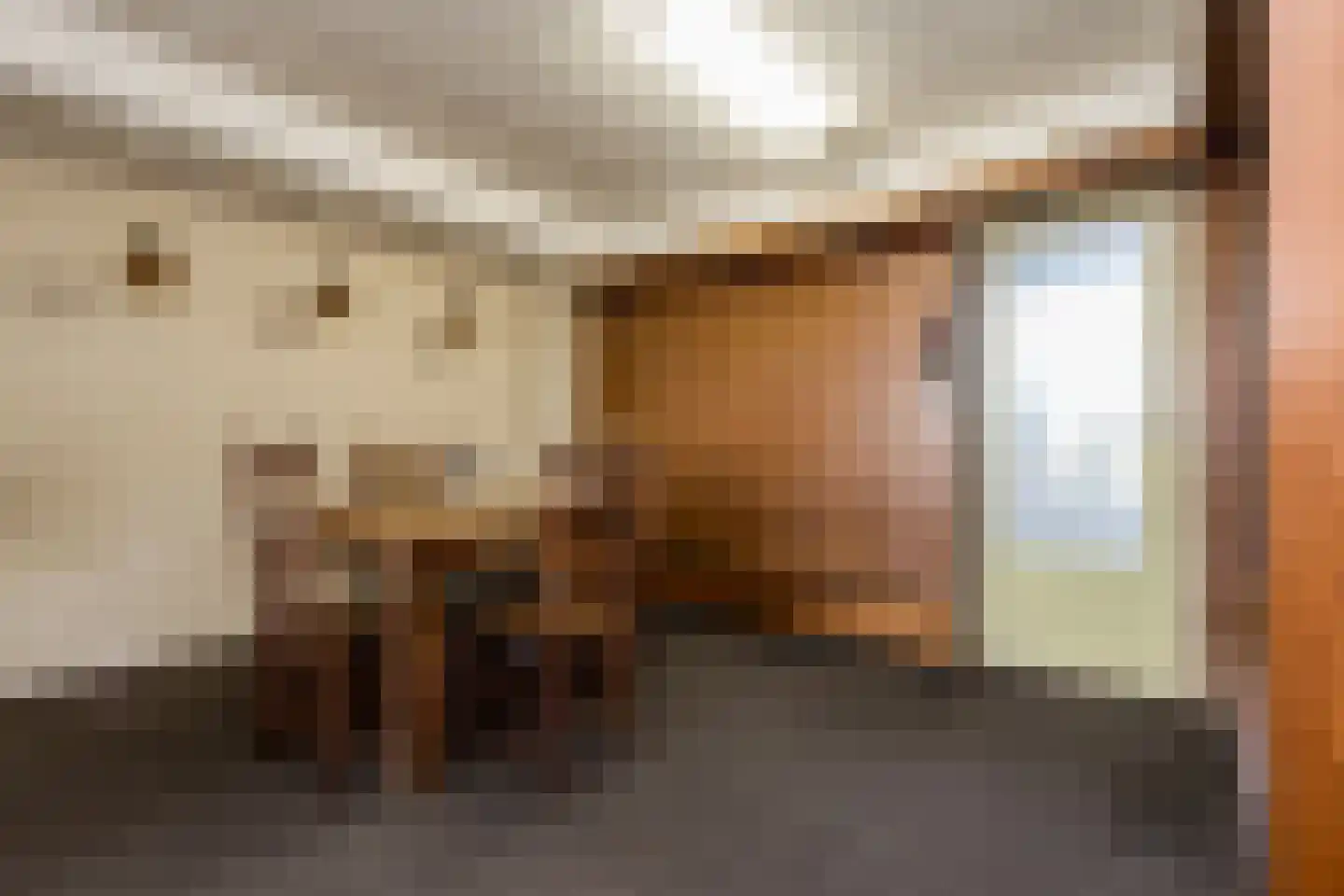 Biesboschstraat 16 Nieuwendijk thumbnail 24