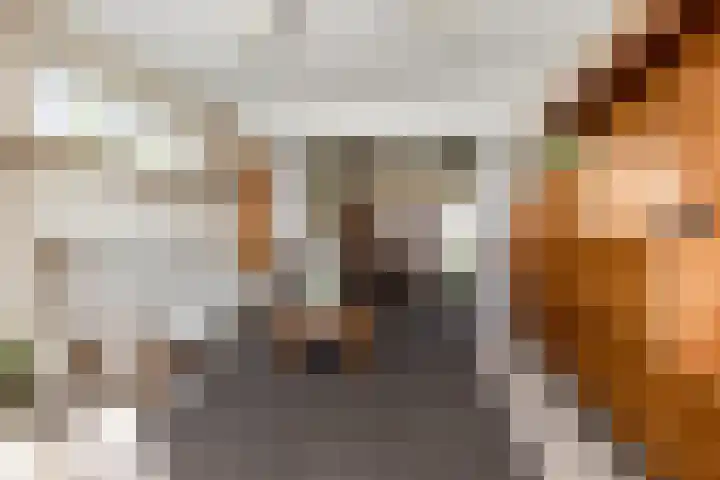 Biesboschstraat 16 Nieuwendijk thumbnail 26