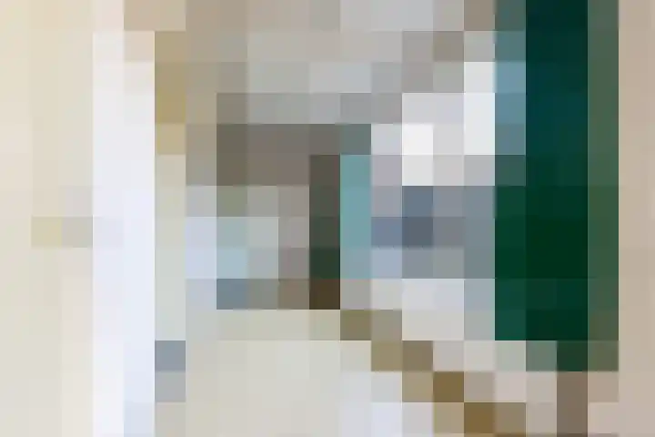 Biesboschstraat 16 Nieuwendijk thumbnail 32