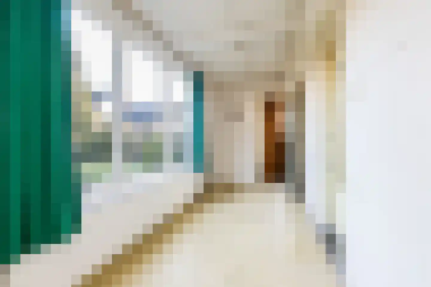 Biesboschstraat 16 Nieuwendijk thumbnail 34