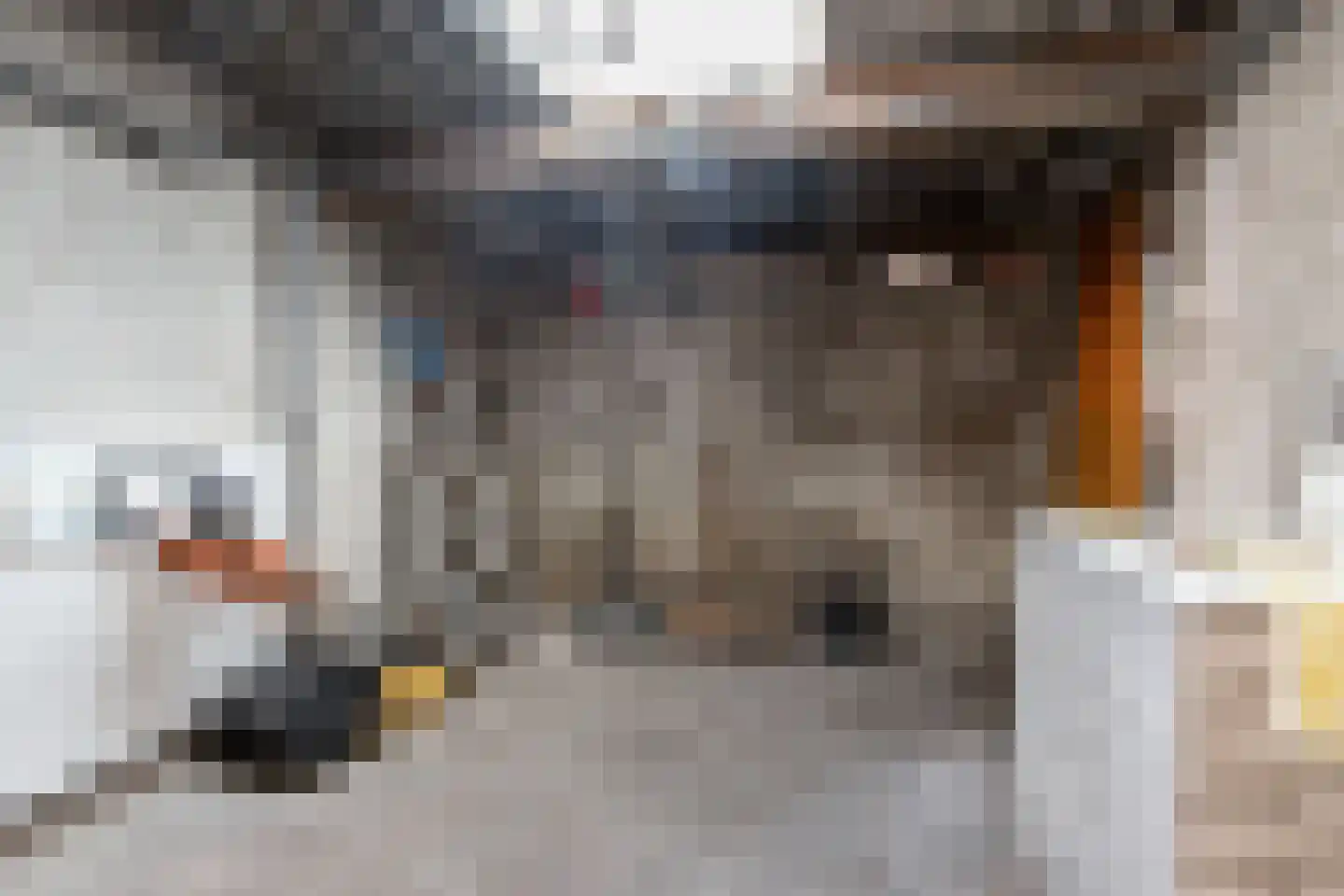 Biesboschstraat 16 Nieuwendijk thumbnail 36