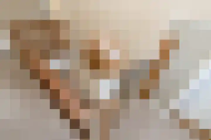 Biesboschstraat 16 Nieuwendijk thumbnail 38