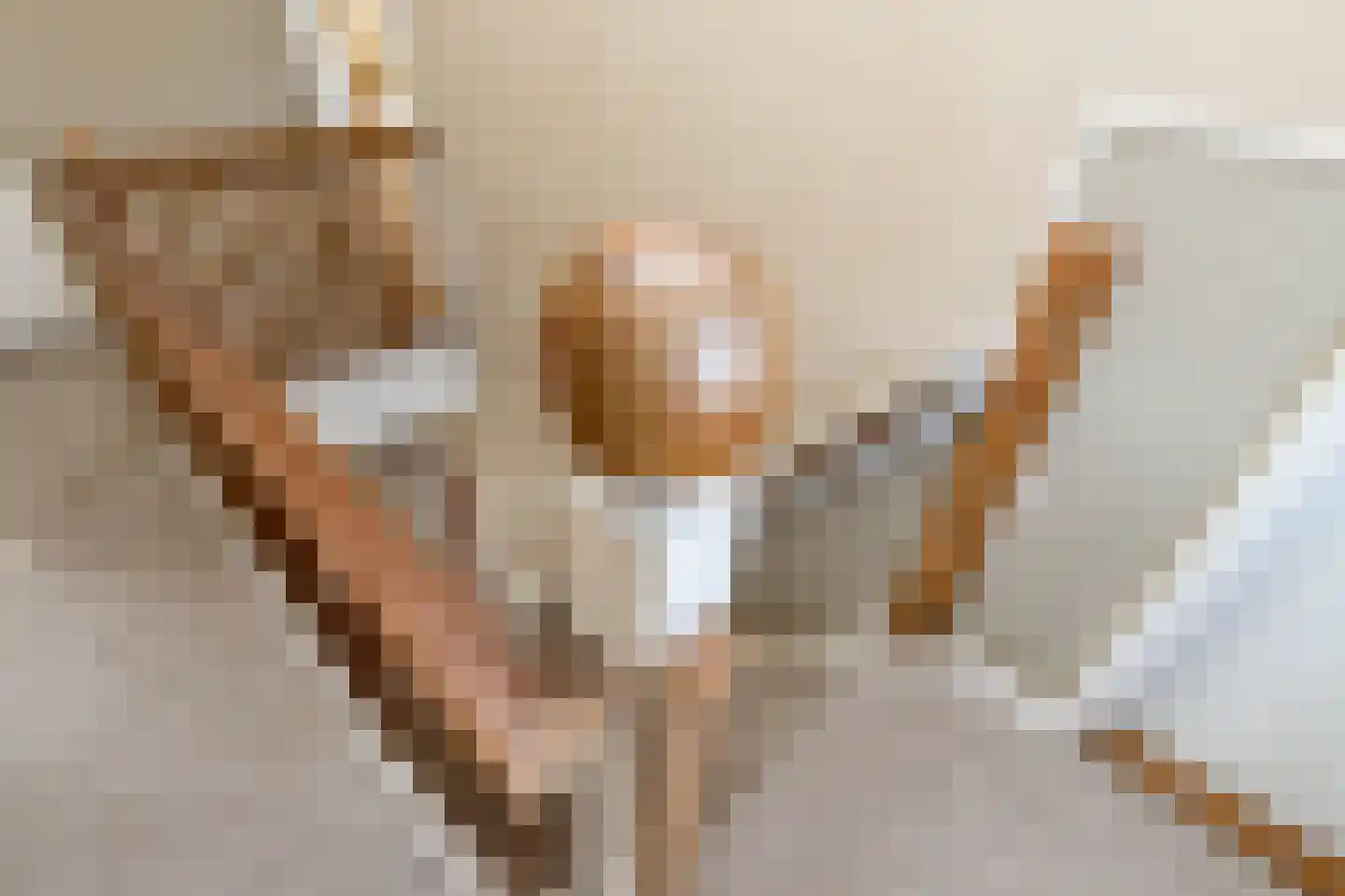 Biesboschstraat 16 Nieuwendijk thumbnail 39