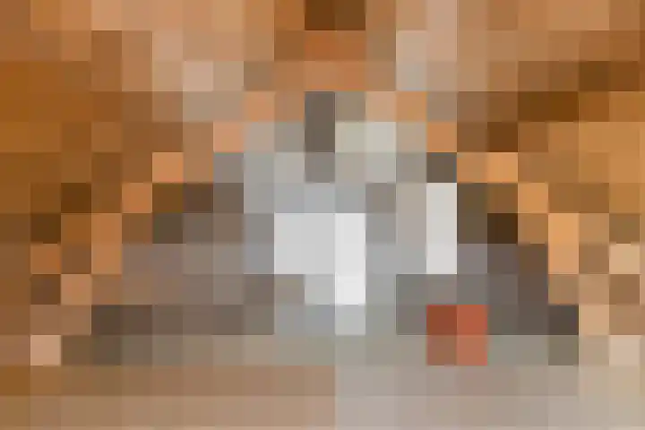 Biesboschstraat 16 Nieuwendijk thumbnail 54