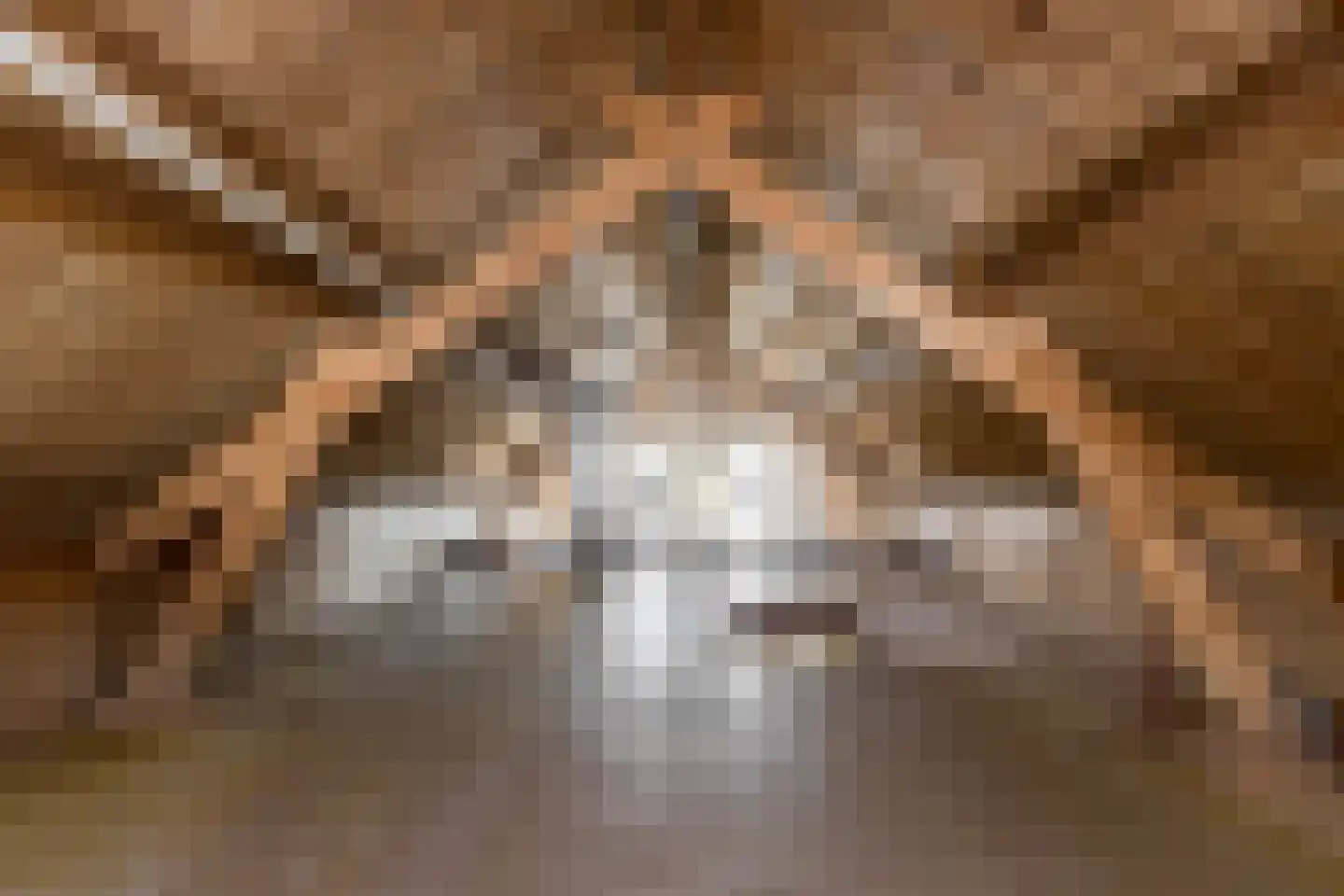 Biesboschstraat 16 Nieuwendijk thumbnail 54