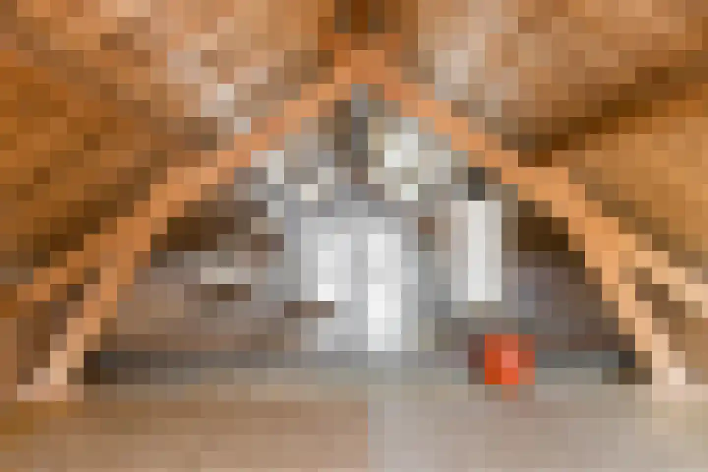 Biesboschstraat 16 Nieuwendijk thumbnail 55