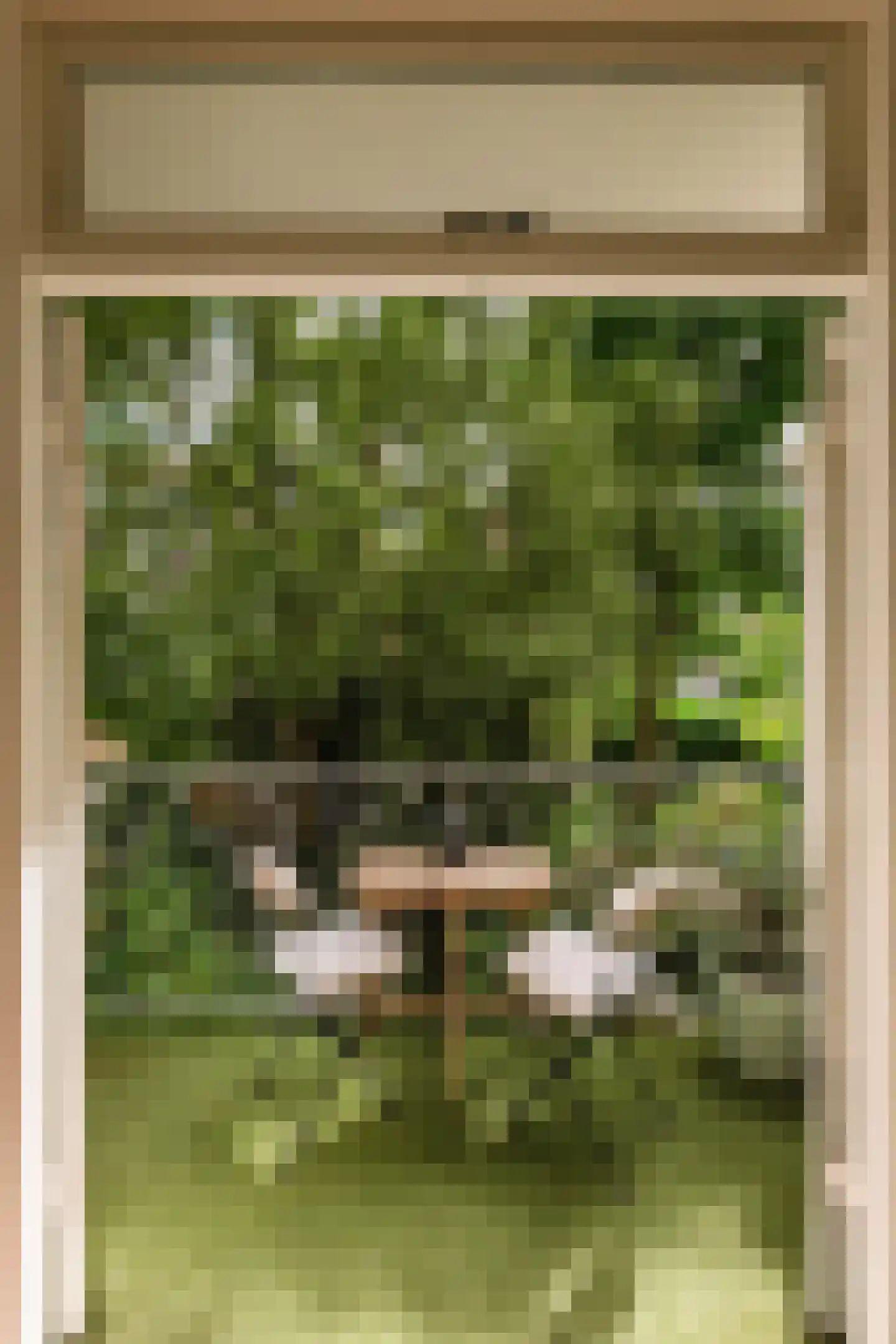Biesboschstraat 17 1 Amsterdam thumbnail 10