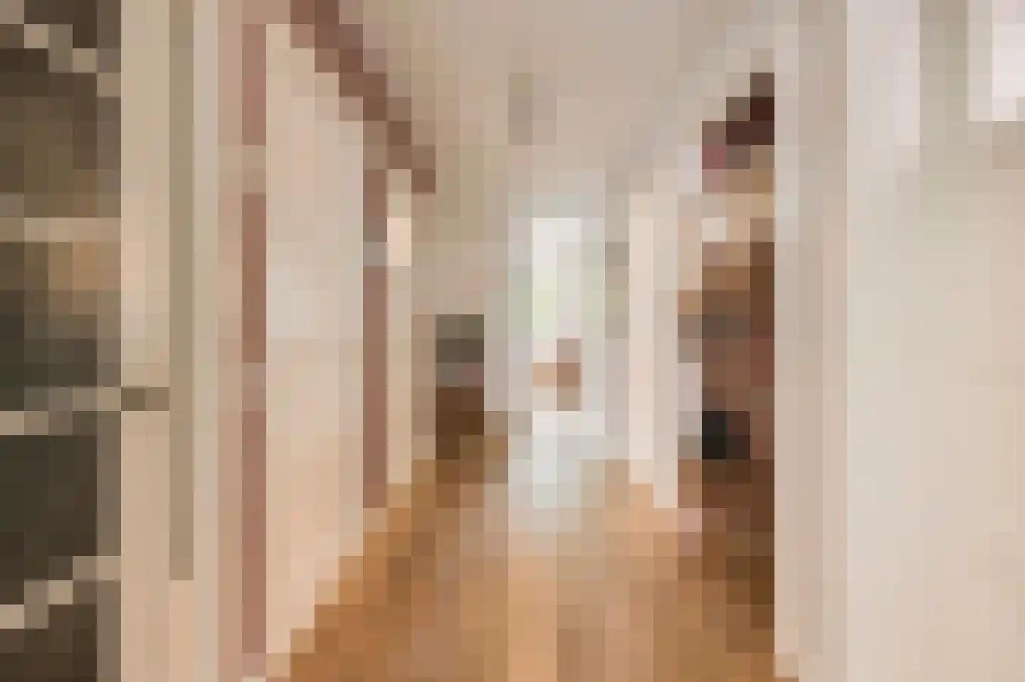 Biesboschstraat 17 1 Amsterdam thumbnail 12