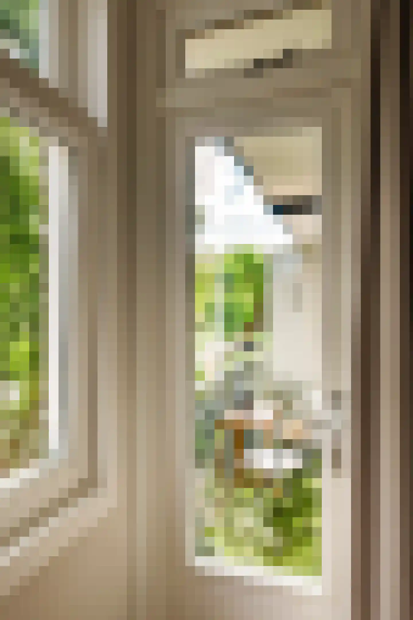 Biesboschstraat 17 1 Amsterdam thumbnail 17