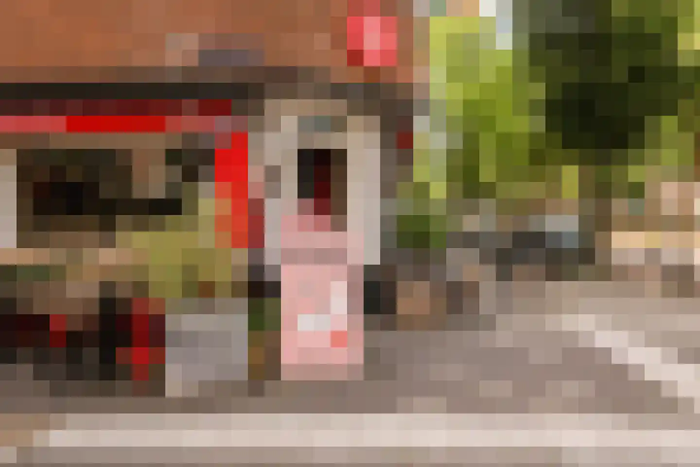Biesboschstraat 17 1 Amsterdam thumbnail 27