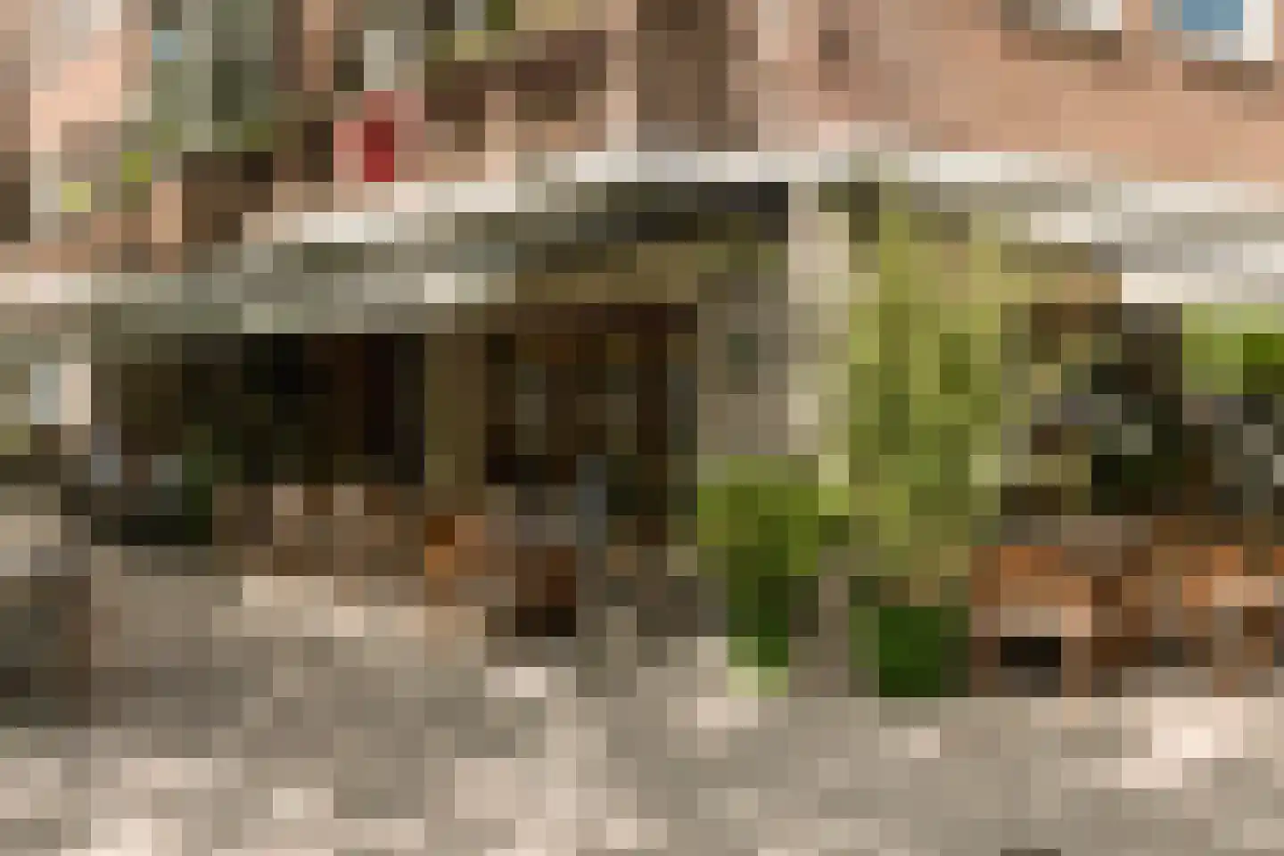 Biesboschstraat 17 1 Amsterdam thumbnail 29