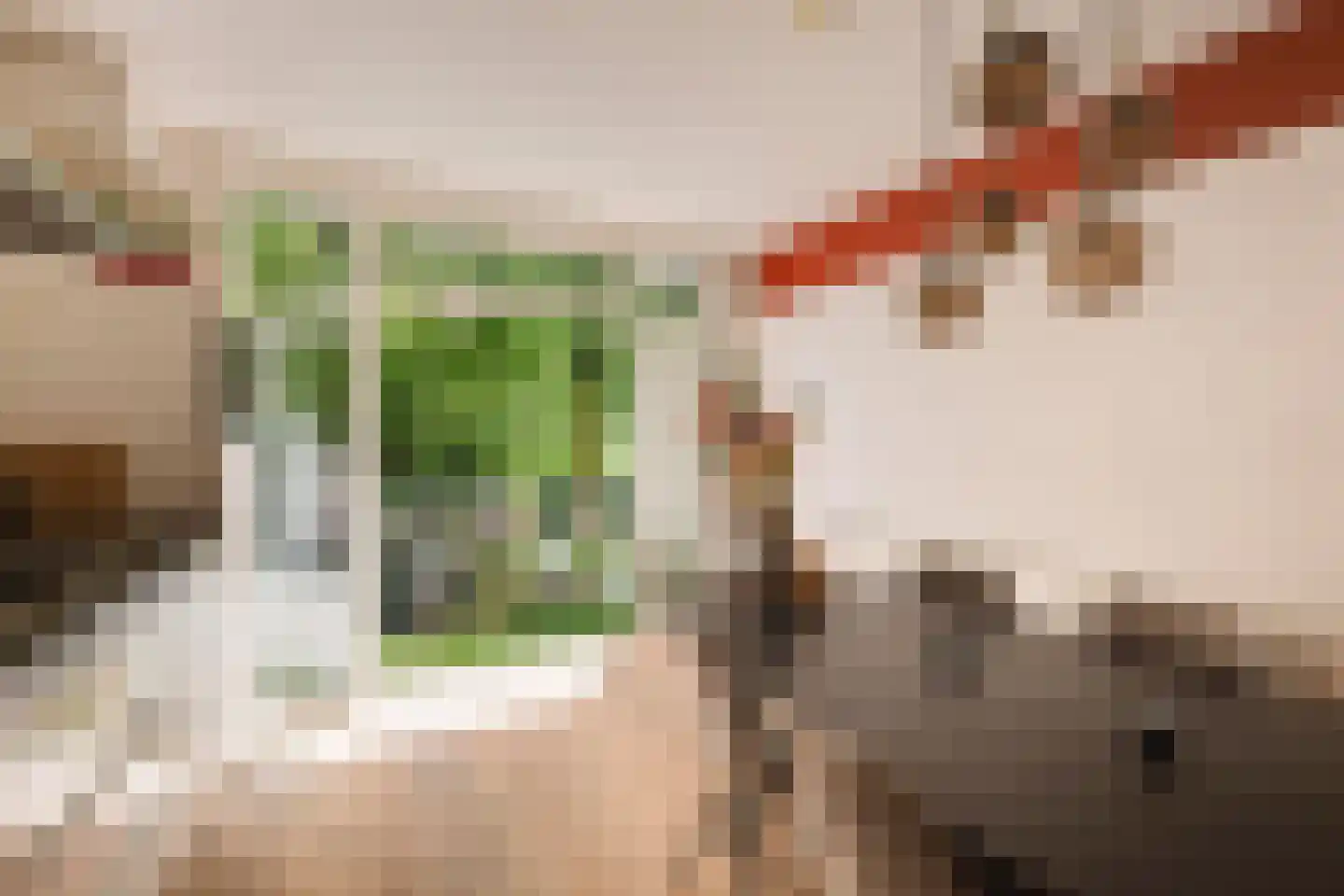 Biesboschstraat 17 1 Amsterdam thumbnail 9