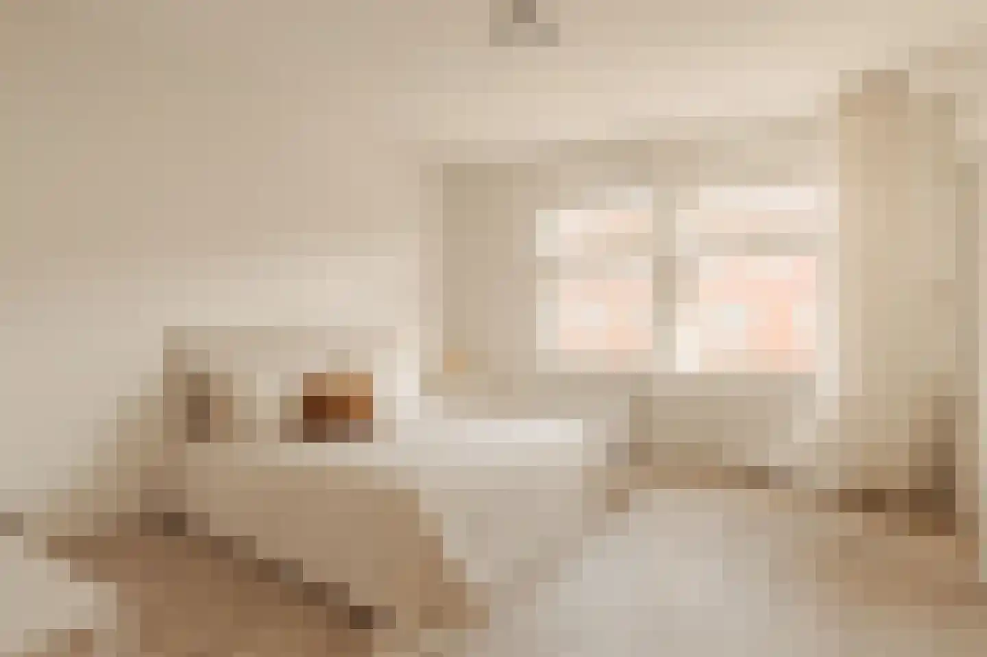 Biesboschstraat 30 3 Amsterdam thumbnail 12
