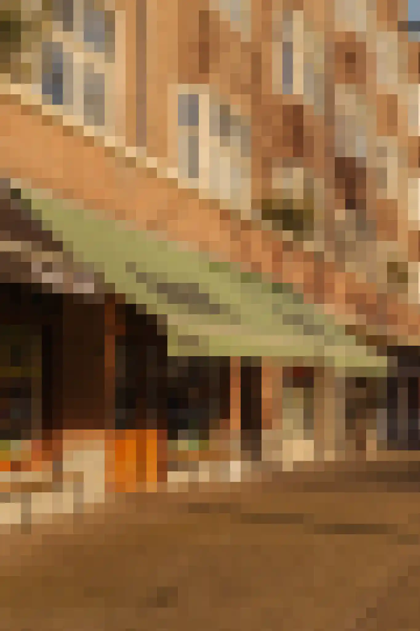 Biesboschstraat 30 3 Amsterdam thumbnail 23