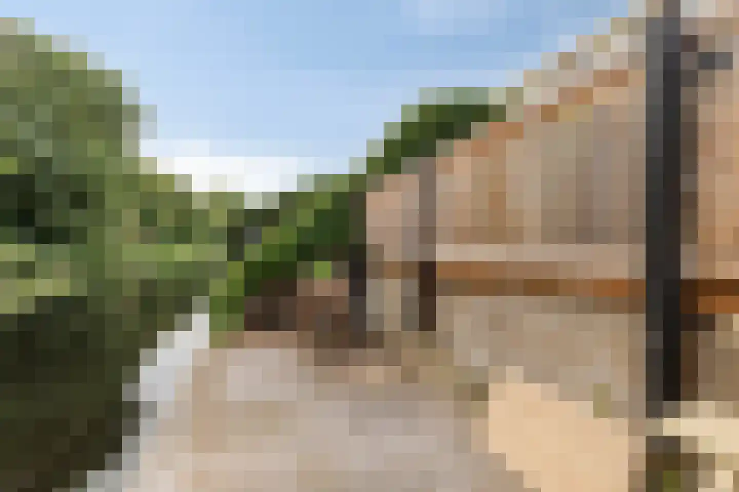 Biesboschstraat 38 Alkmaar thumbnail 23