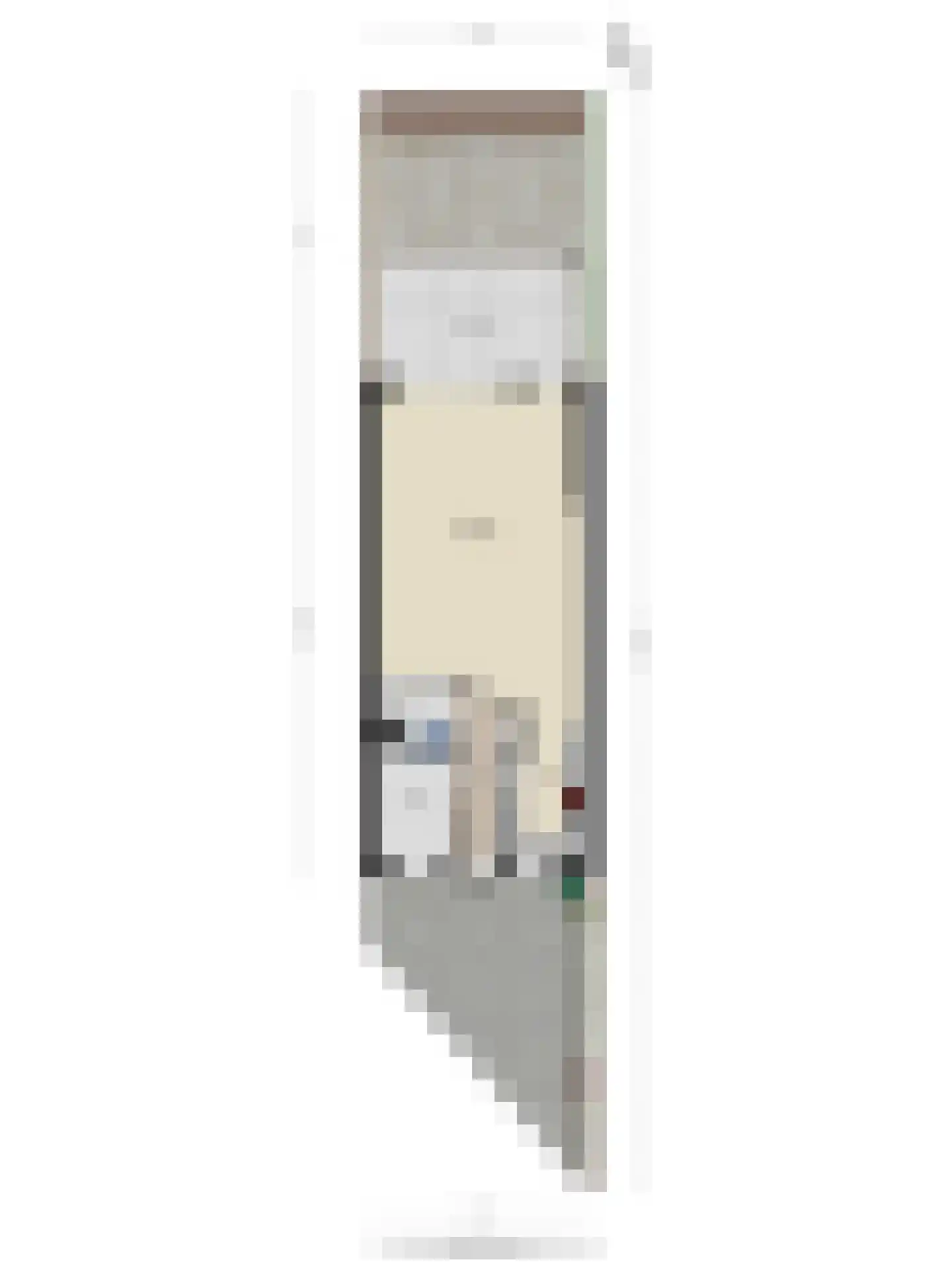 Biesboschstraat 38 Alkmaar thumbnail 29