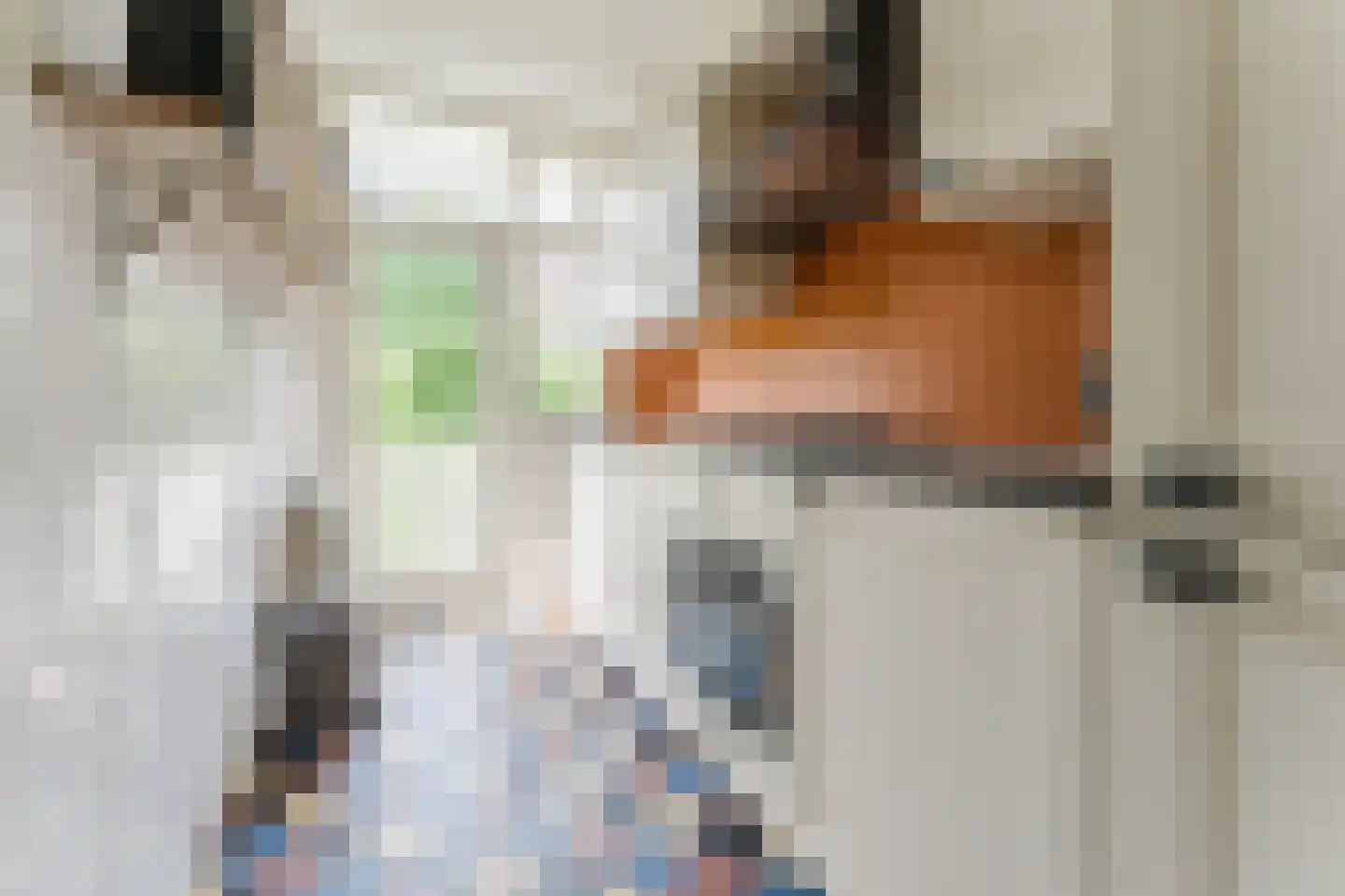 Biesboschstraat 39 1 Amsterdam thumbnail 10