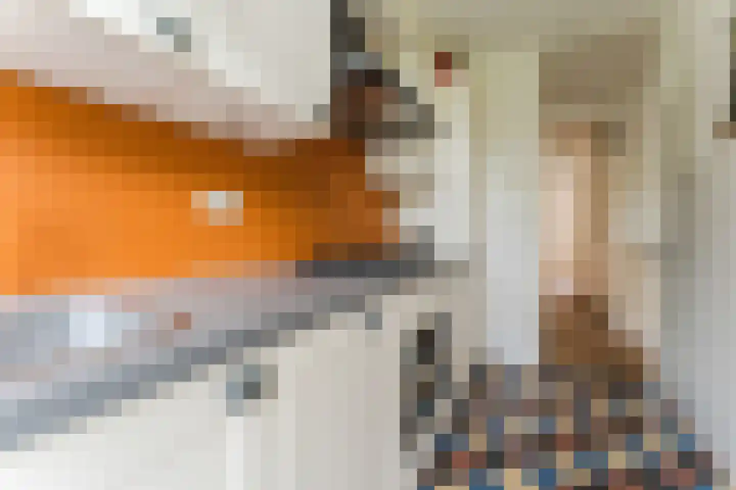 Biesboschstraat 39 1 Amsterdam thumbnail 11