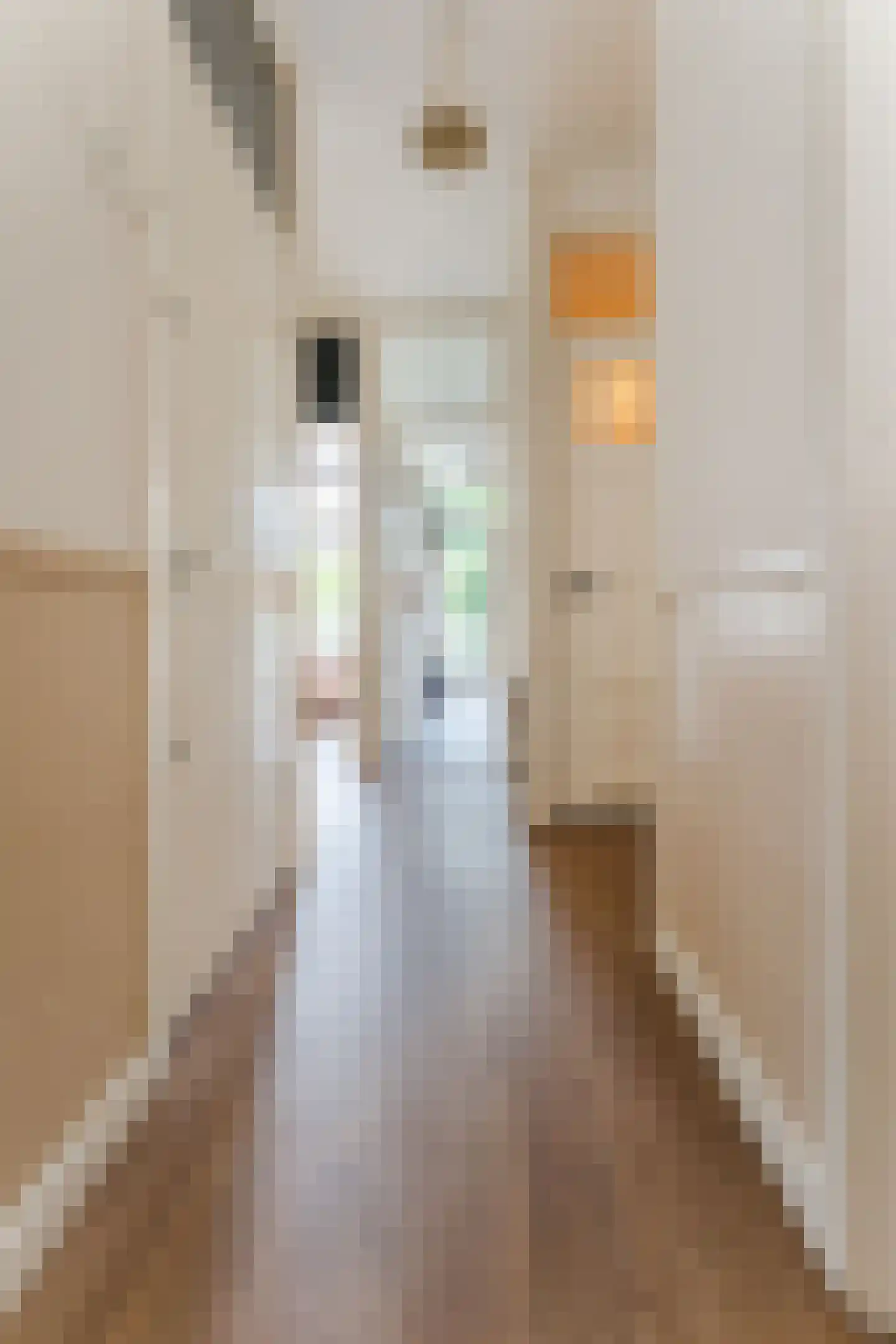 Biesboschstraat 39 1 Amsterdam thumbnail 12
