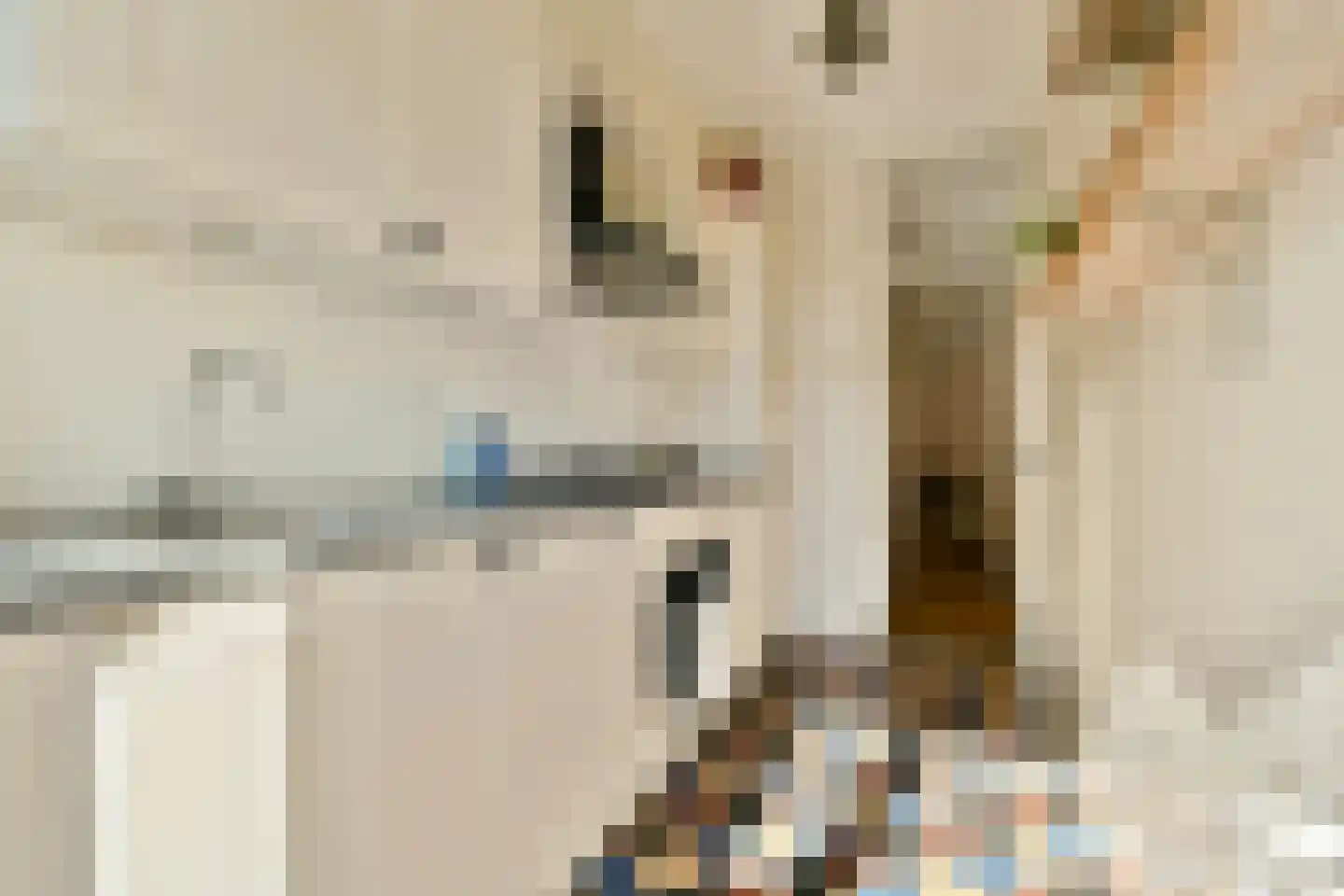 Biesboschstraat 39 2 Amsterdam thumbnail 16