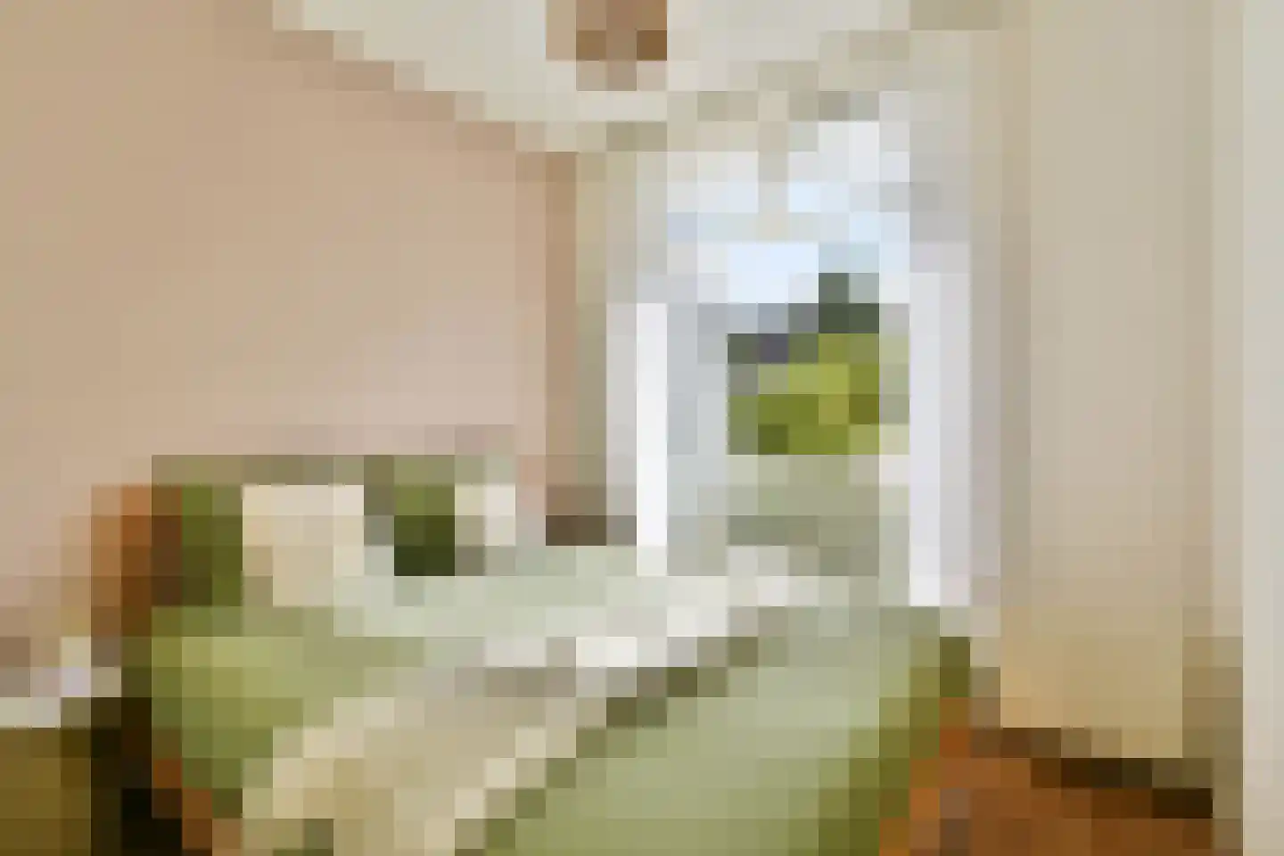 Biesboschstraat 39 2 Amsterdam thumbnail 20