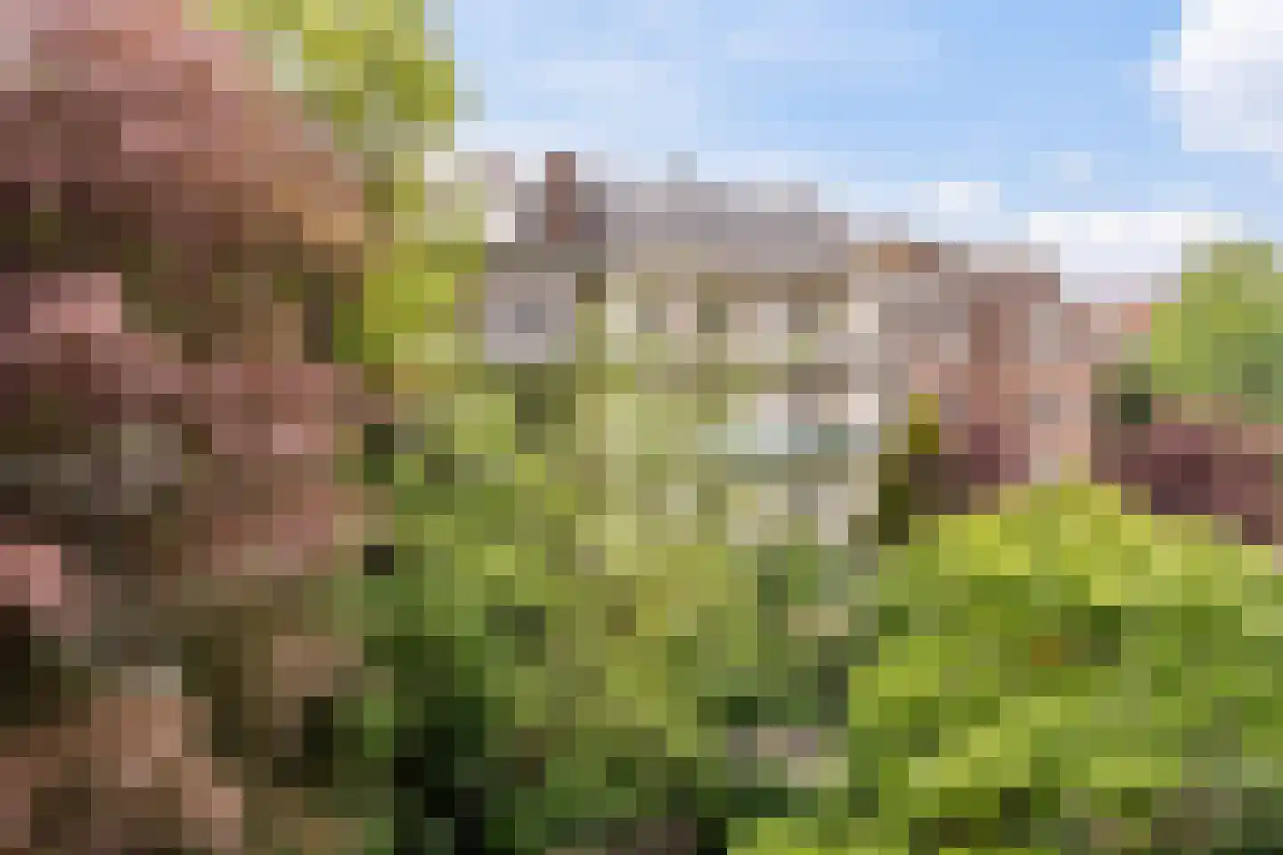 Biesboschstraat 48 2 Amsterdam thumbnail 17