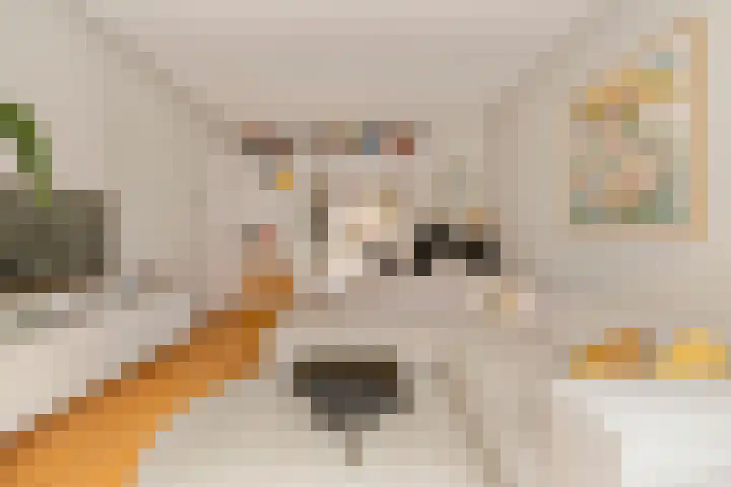 Biesboschstraat 48 2 Amsterdam thumbnail 8