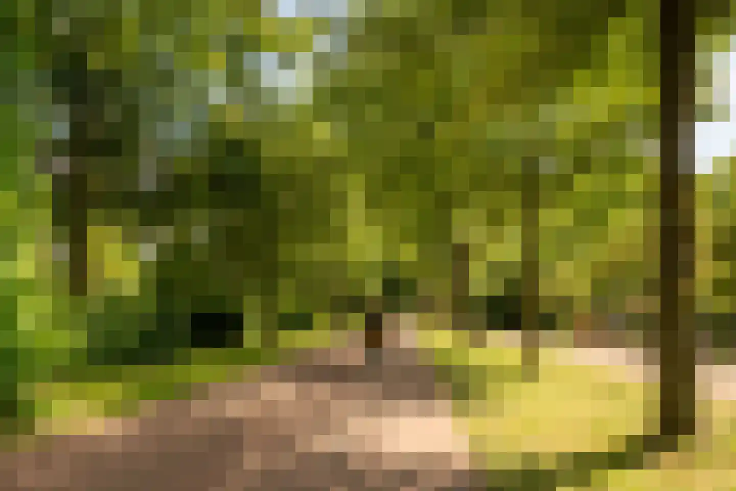 Biesboschstraat 55 3 Amsterdam thumbnail 38