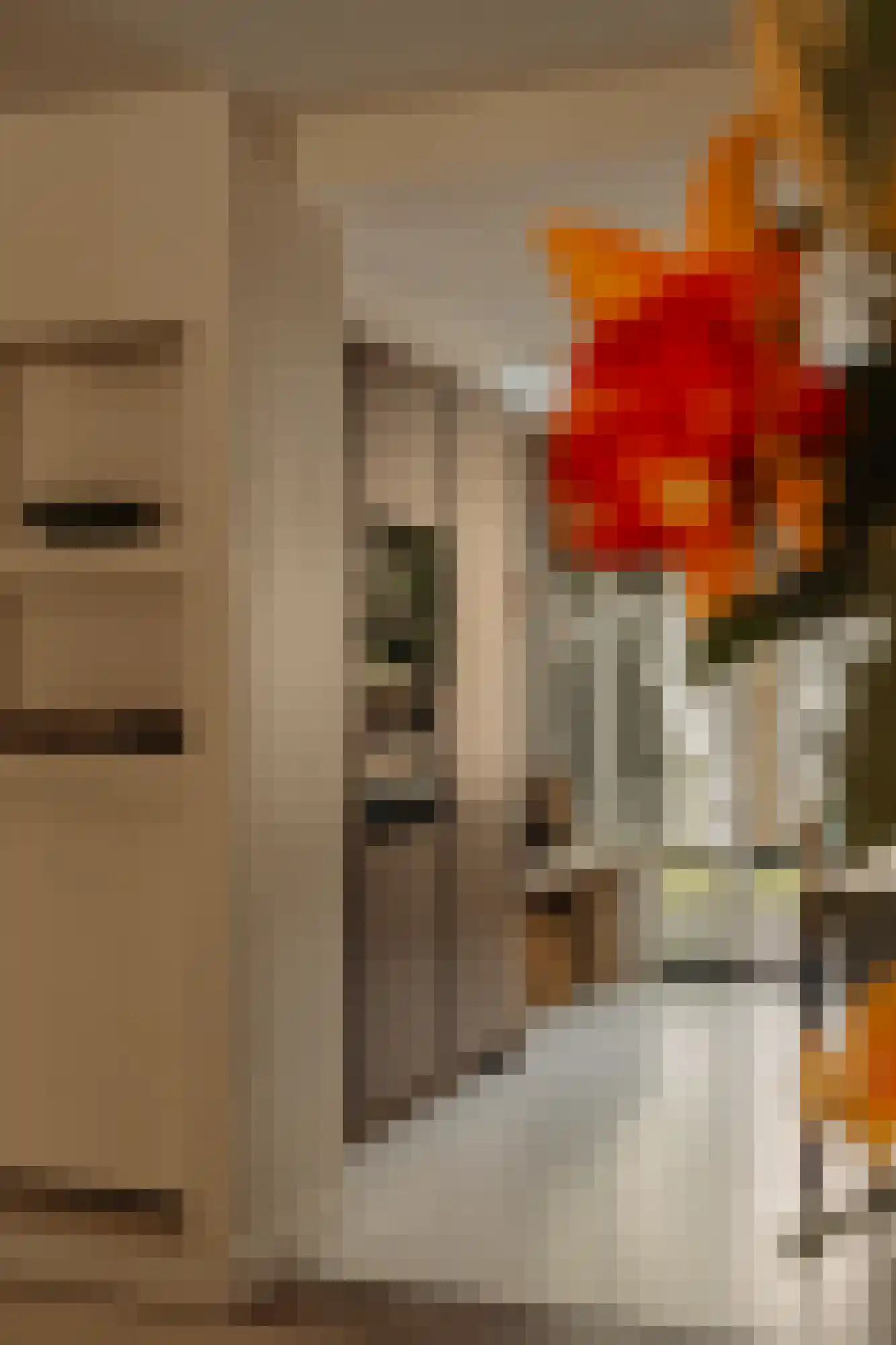 Biesboschstraat 56 1 Amsterdam thumbnail 10