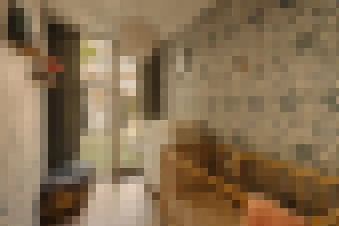 Biesboschstraat 56 1 Amsterdam thumbnail 21