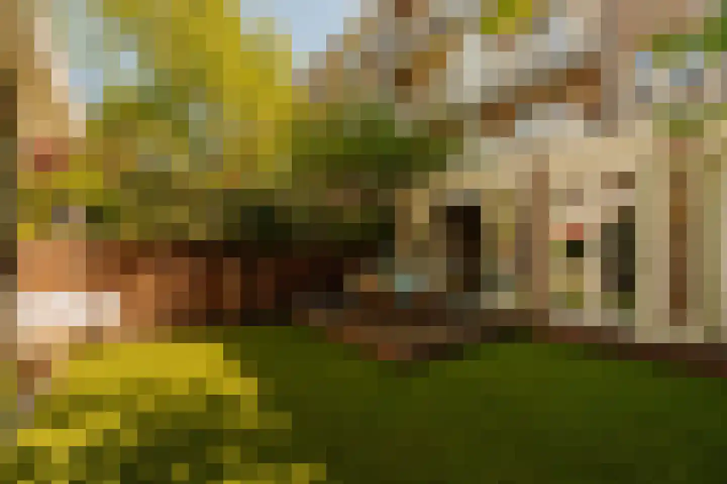 Biesboschstraat 56 1 Amsterdam thumbnail 28