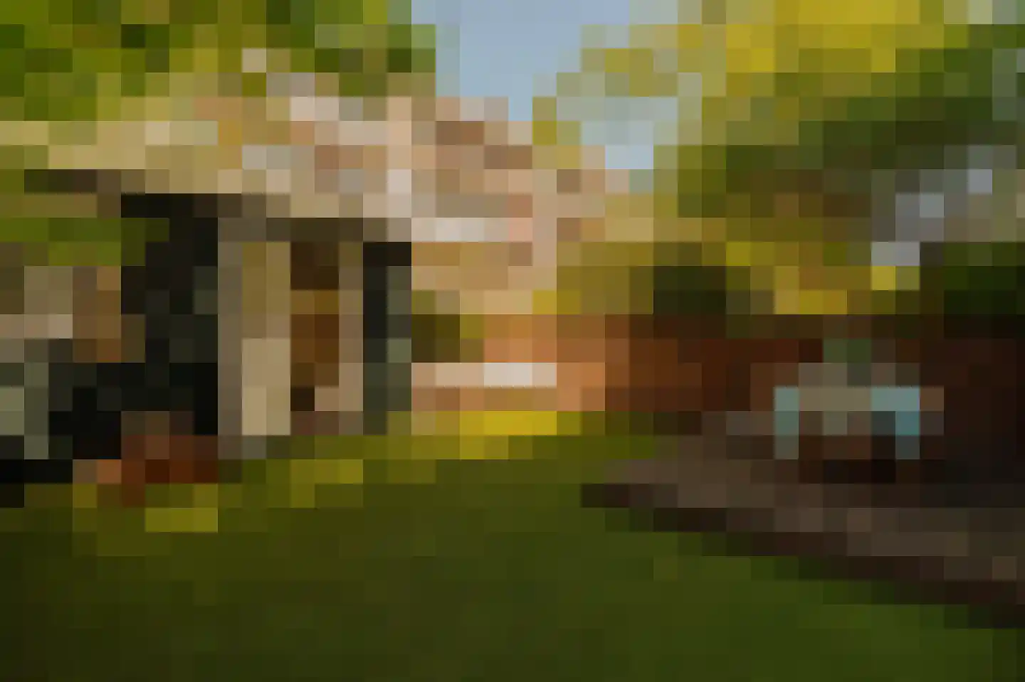 Biesboschstraat 56 1 Amsterdam thumbnail 4