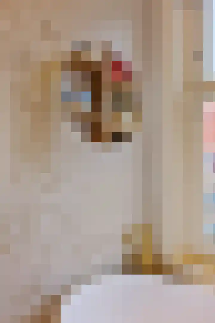 Biesboschstraat 63 H Amsterdam thumbnail 21