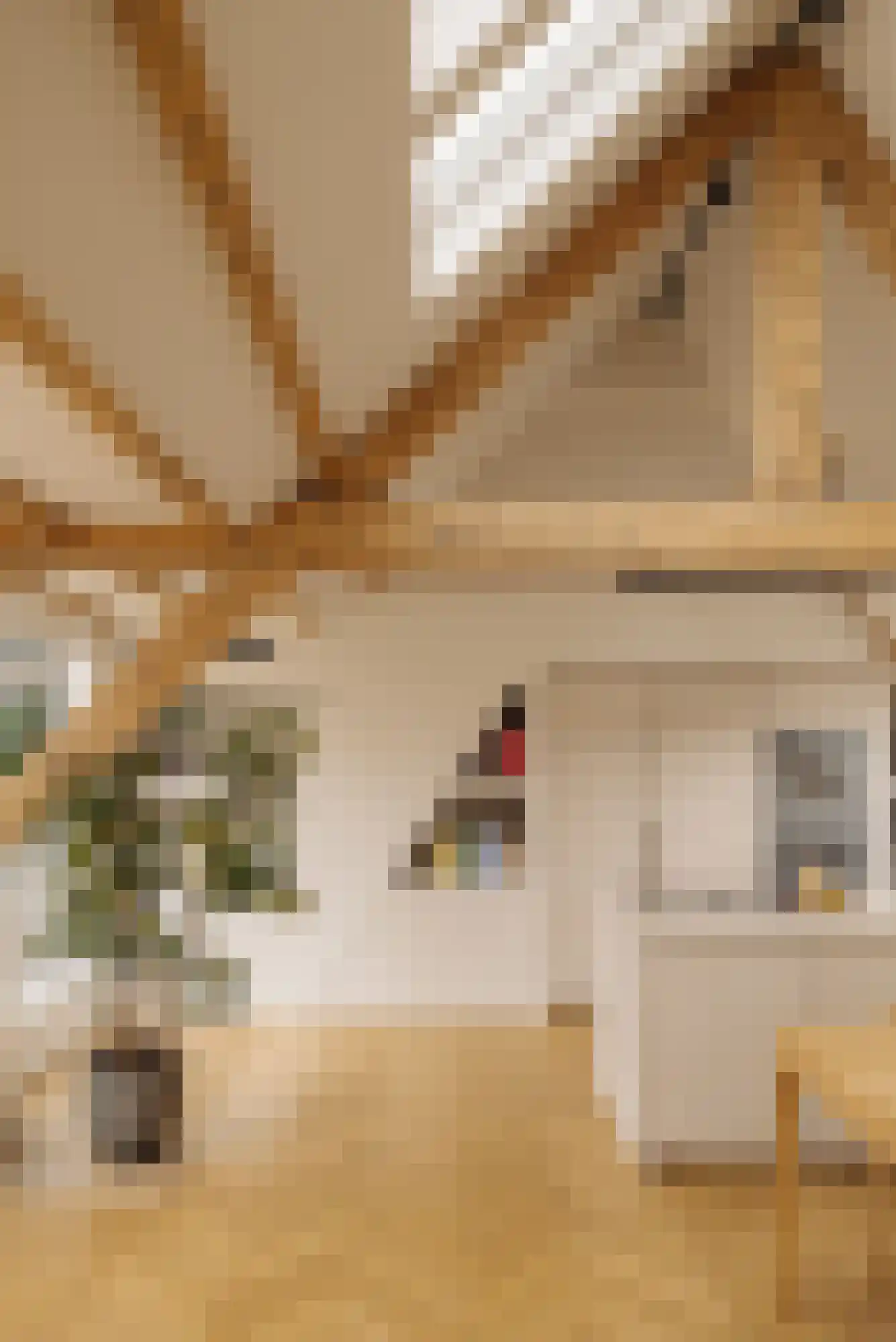 Biesboschstraat 70 H Amsterdam thumbnail 11
