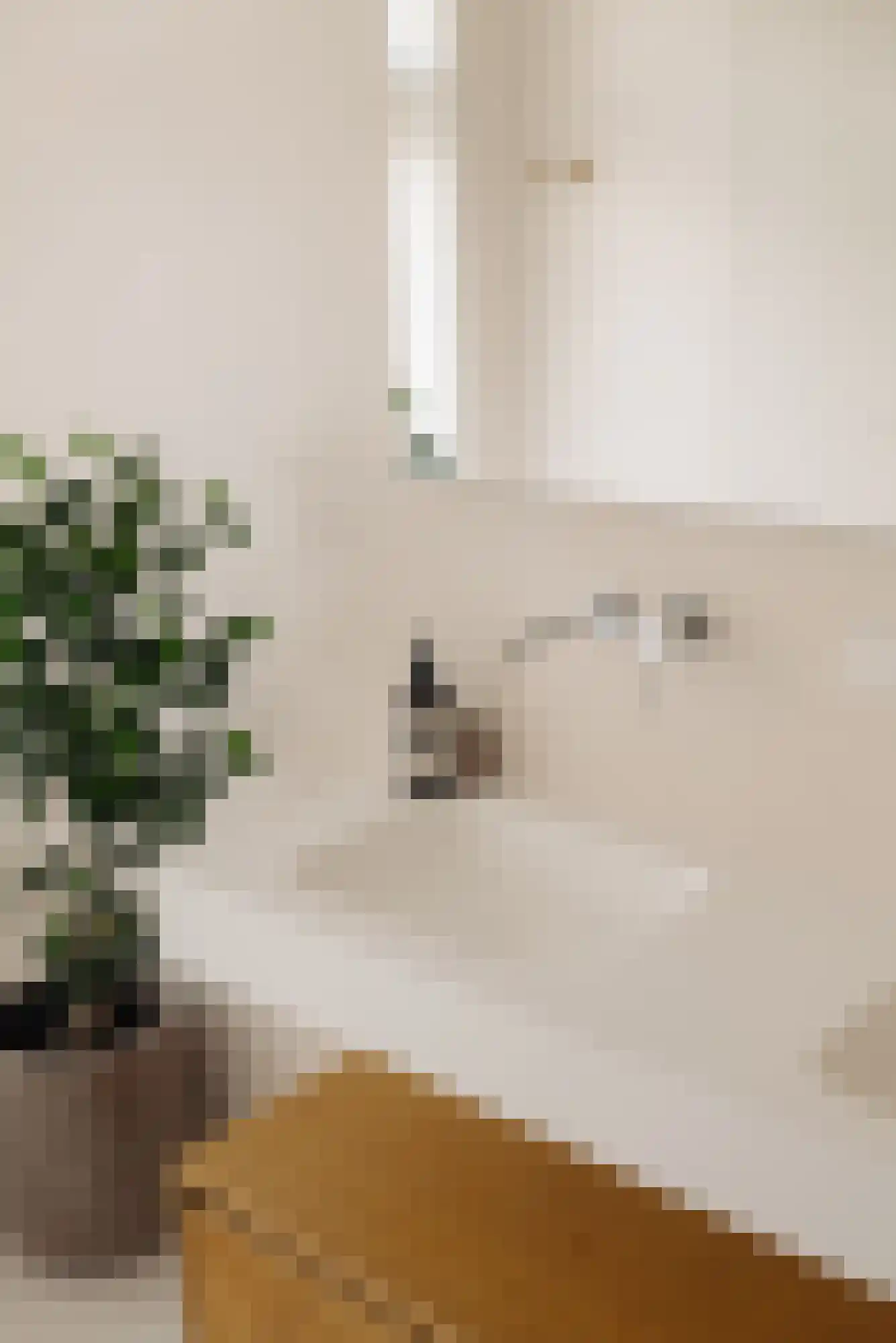 Biesboschstraat 70 H Amsterdam thumbnail 16