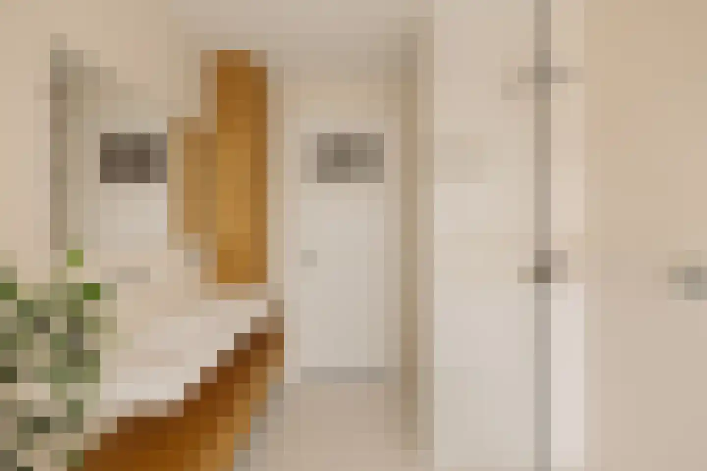 Biesboschstraat 70 H Amsterdam thumbnail 18